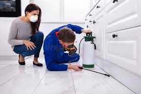 Best Pest Prevention Services  in Robertsville, NJ